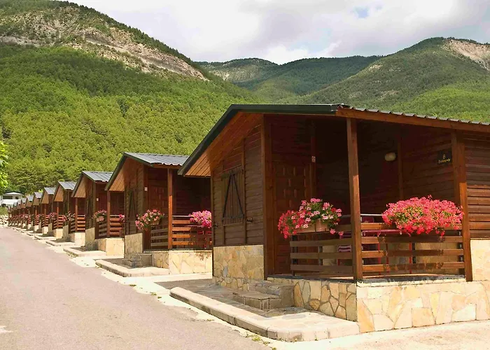 Hotel que admite mascotas: Camping Valle De Tena